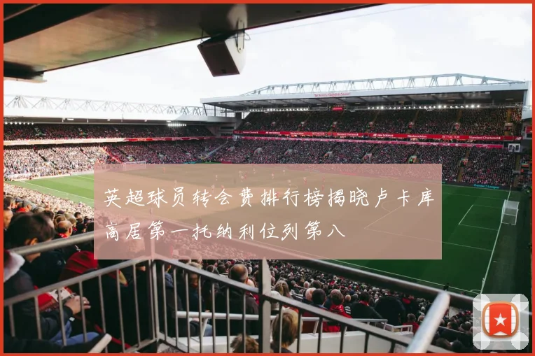 英超球员转会费排行榜揭晓卢卡库高居第一托纳利位列第八