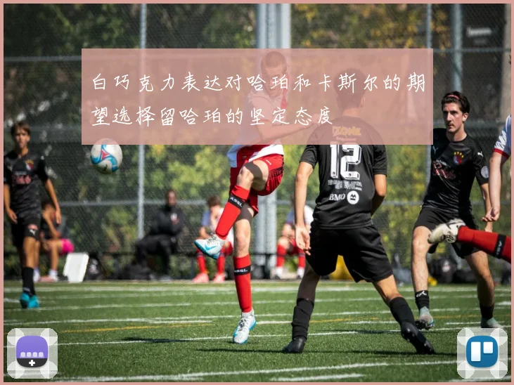 白巧克力表达对哈珀和卡斯尔的期望选择留哈珀的坚定态度
